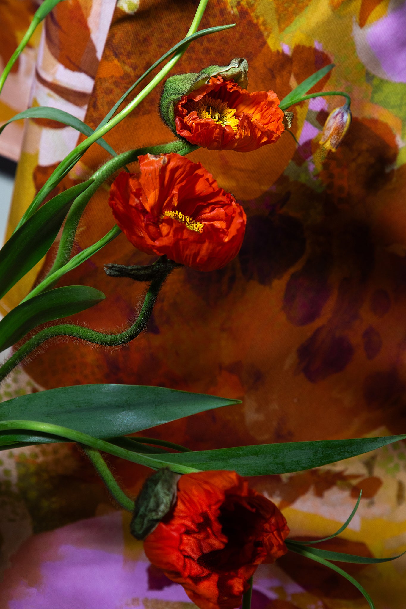 Thursday Night Gatherings: Dawn