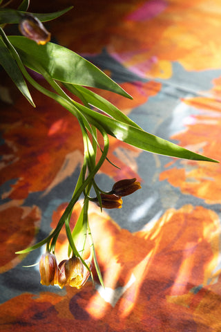 Thursday Night Gatherings: Dusk